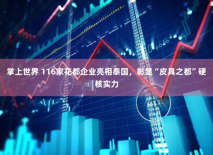 掌上世界 116家花都企业亮相泰国，彰显“皮具之都”硬核实力