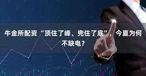 牛金所配资 “顶住了峰、兜住了底”，今夏为何不缺电？